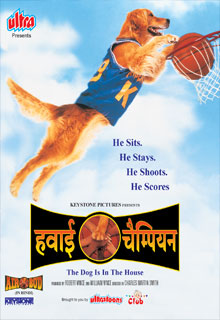 HAWAAI CHAMPION  (AIRBUD)